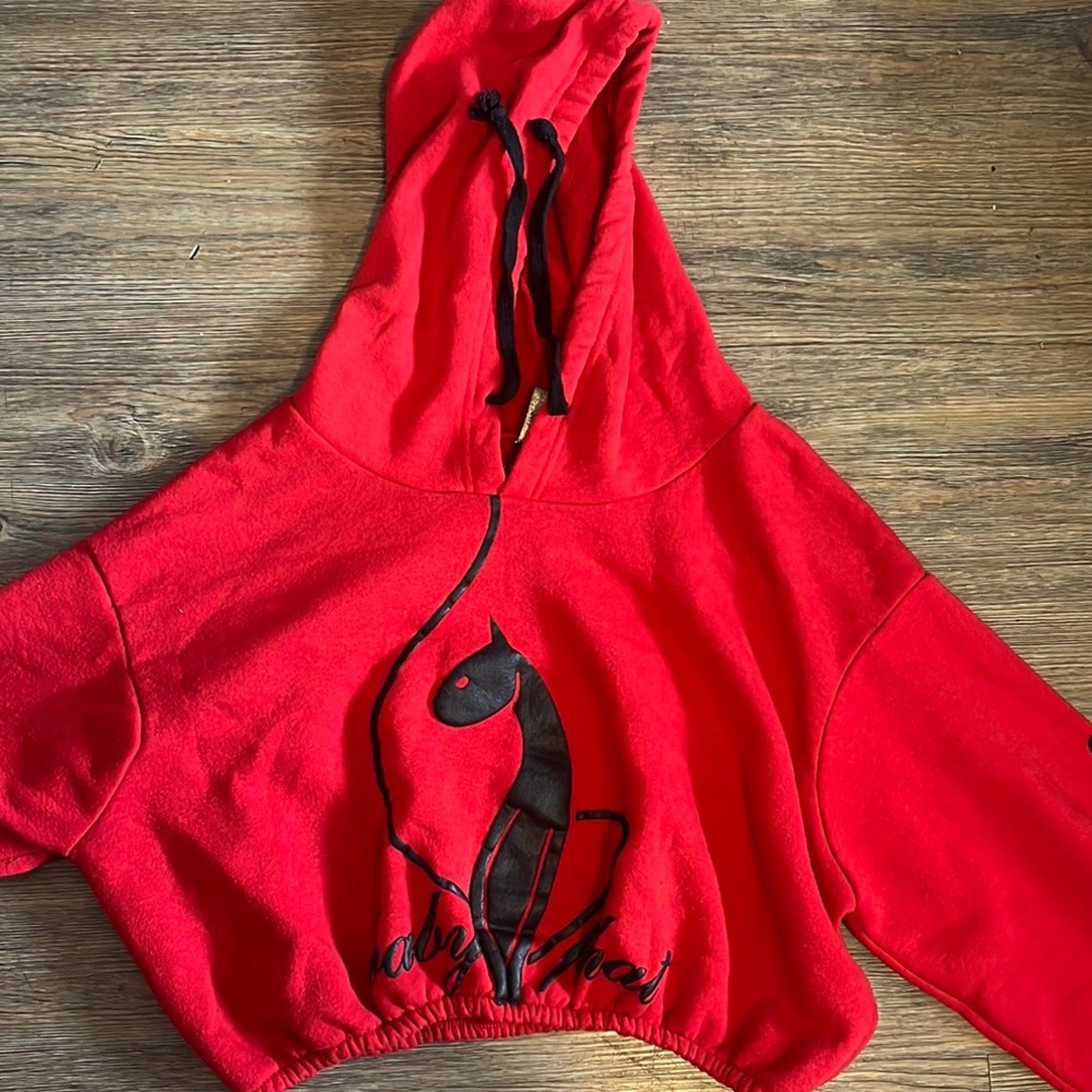 Baby phat hoodie